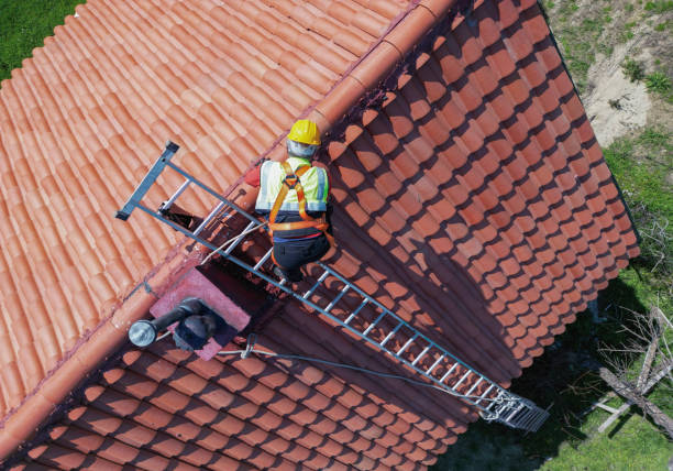 Best Roof Insulation Installation  in Highland Lakes, AL